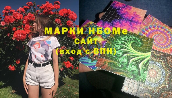 гашик Нея