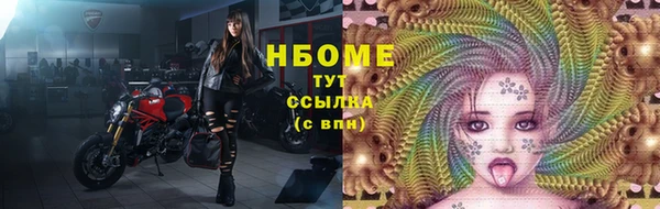 гашик Нея