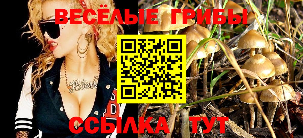 Галлюциногенные грибы мицелий  Псилоцибиновые грибы Magic Shrooms  Старая Русса 