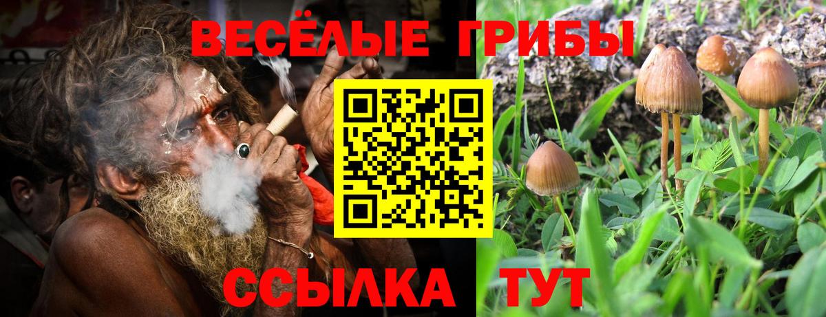 Псилоцибиновые грибы MAGIC MUSHROOMS Старая Русса
