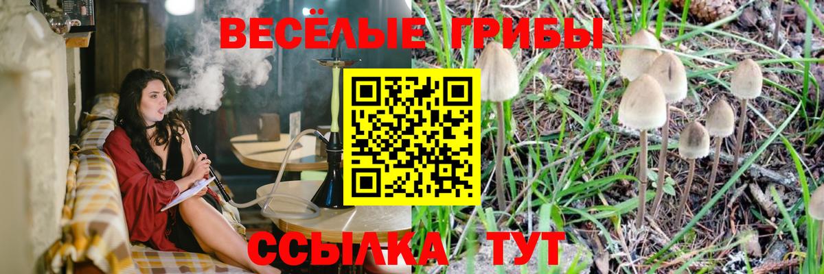 где найти   Галлюциногенные грибы мицелий  Вход с VPN  Старая Русса 